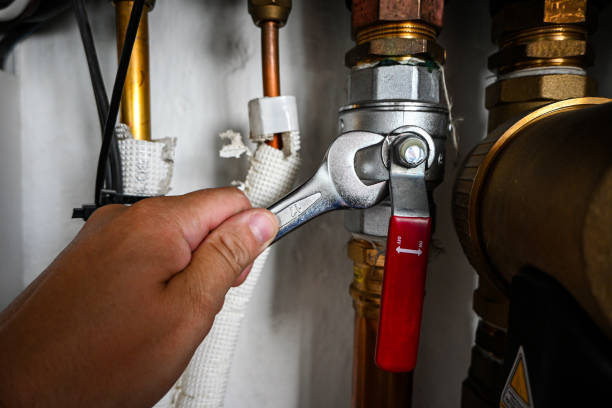 Best Plumbing Inspection Services  in Henning, TN